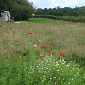 Little Idyll Shepherds Hut , Chester United Kingdom